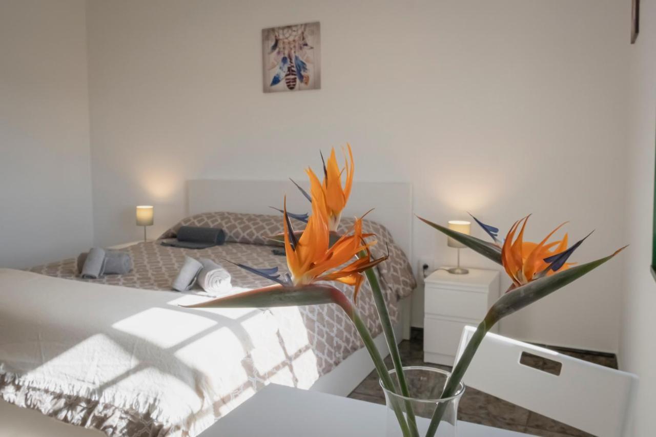 Vistalroque Bed and Breakfast Arona  Eksteriør billede